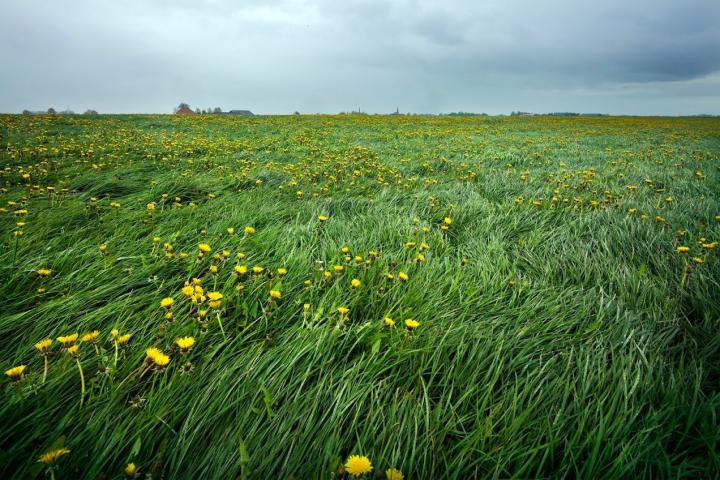 Verpachte percelen van extensief naar natuurinclusief